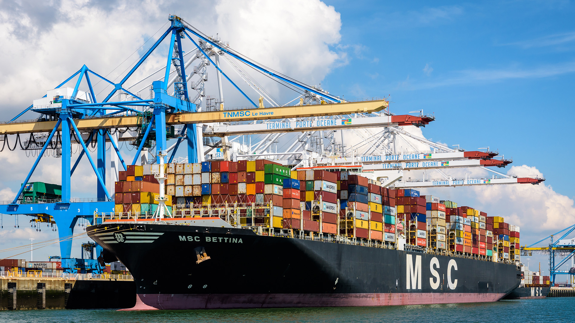 An MSC ship loads containers in port