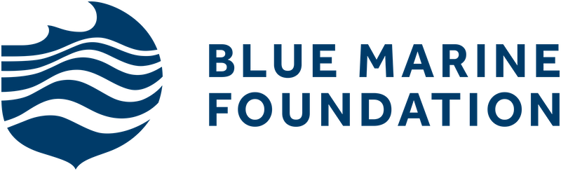 Blue Marine Foundation logo