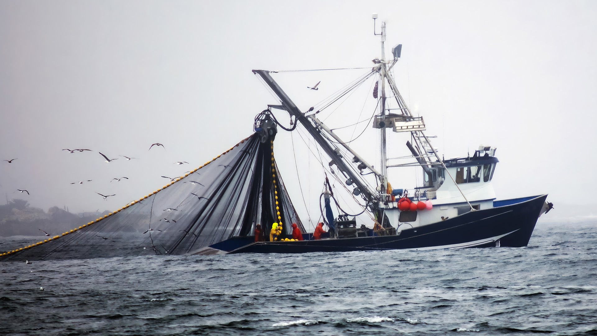 Commercial fishermen work to bring in large trawling nets