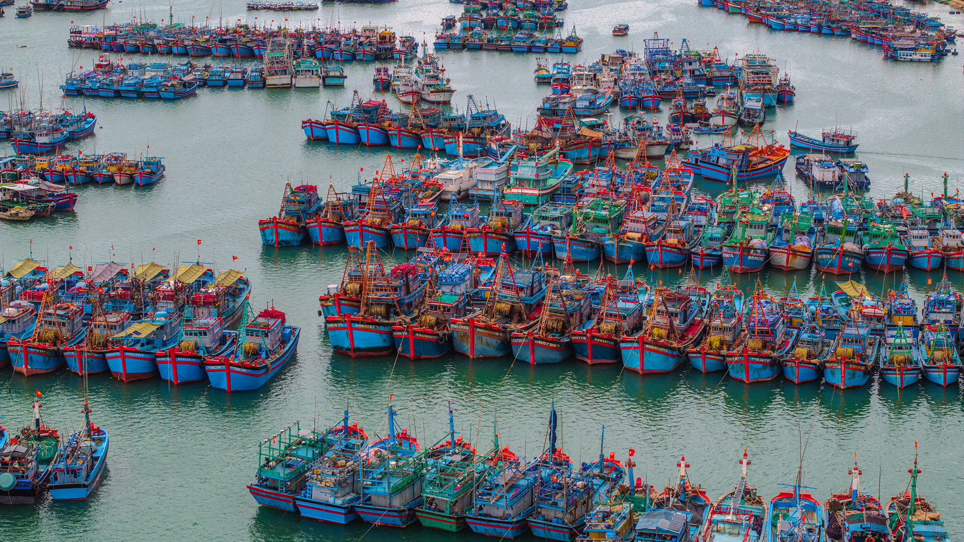 Aerial view of colorful boats tied up on rows in a Southeast Asia harbor