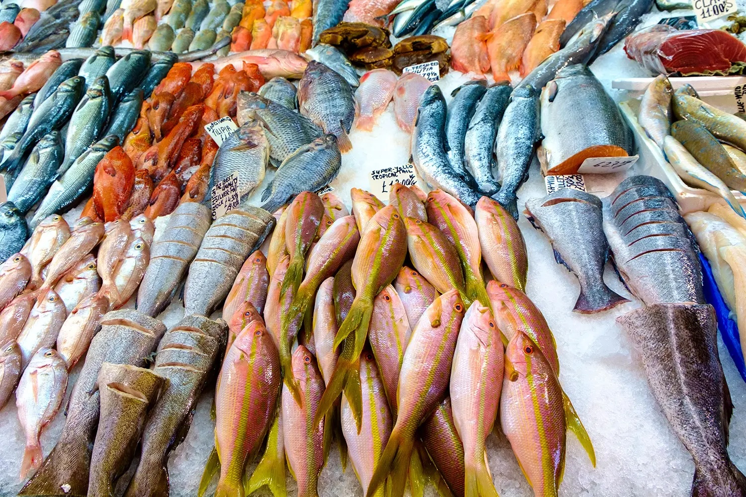 Fresh fish display on ice at a market