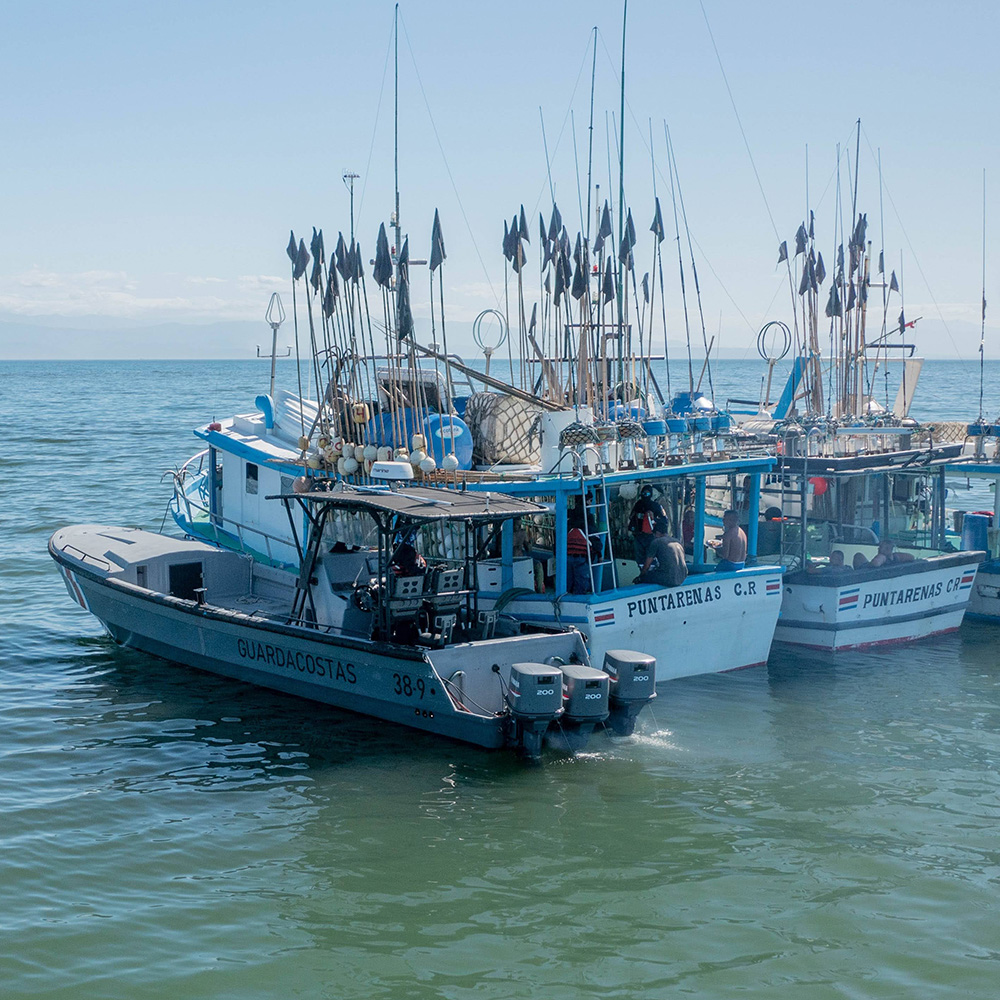 A patrol boat pulls up alongside a trio of commercial fishing vessels